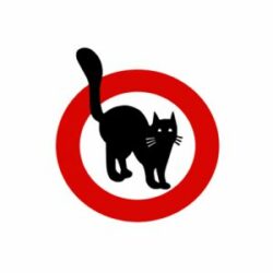 cat_logo-300x300
