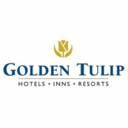 golden_tulip-300x300