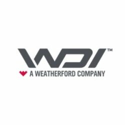 wdi-300x300